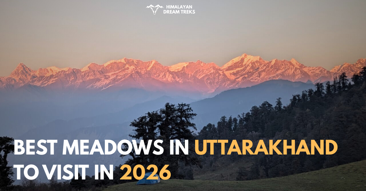 Best meadows in uttarakhand