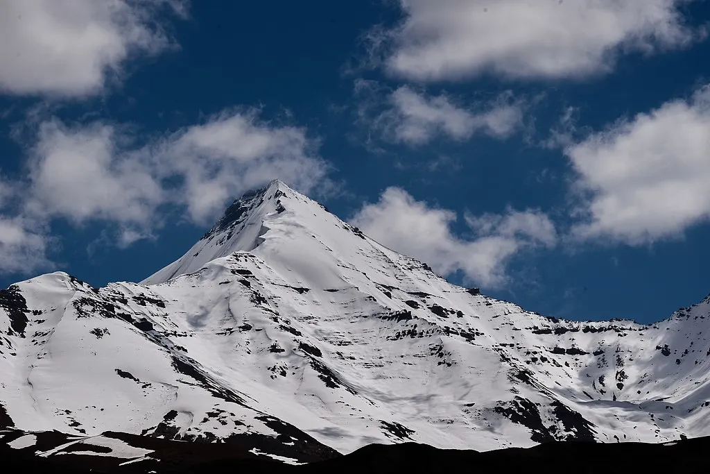 Chau Chau Kang Nilda
