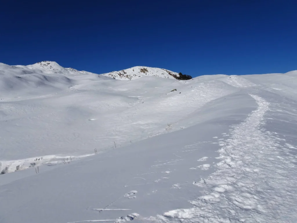 Snow covered meadows of Dayara Bugyal