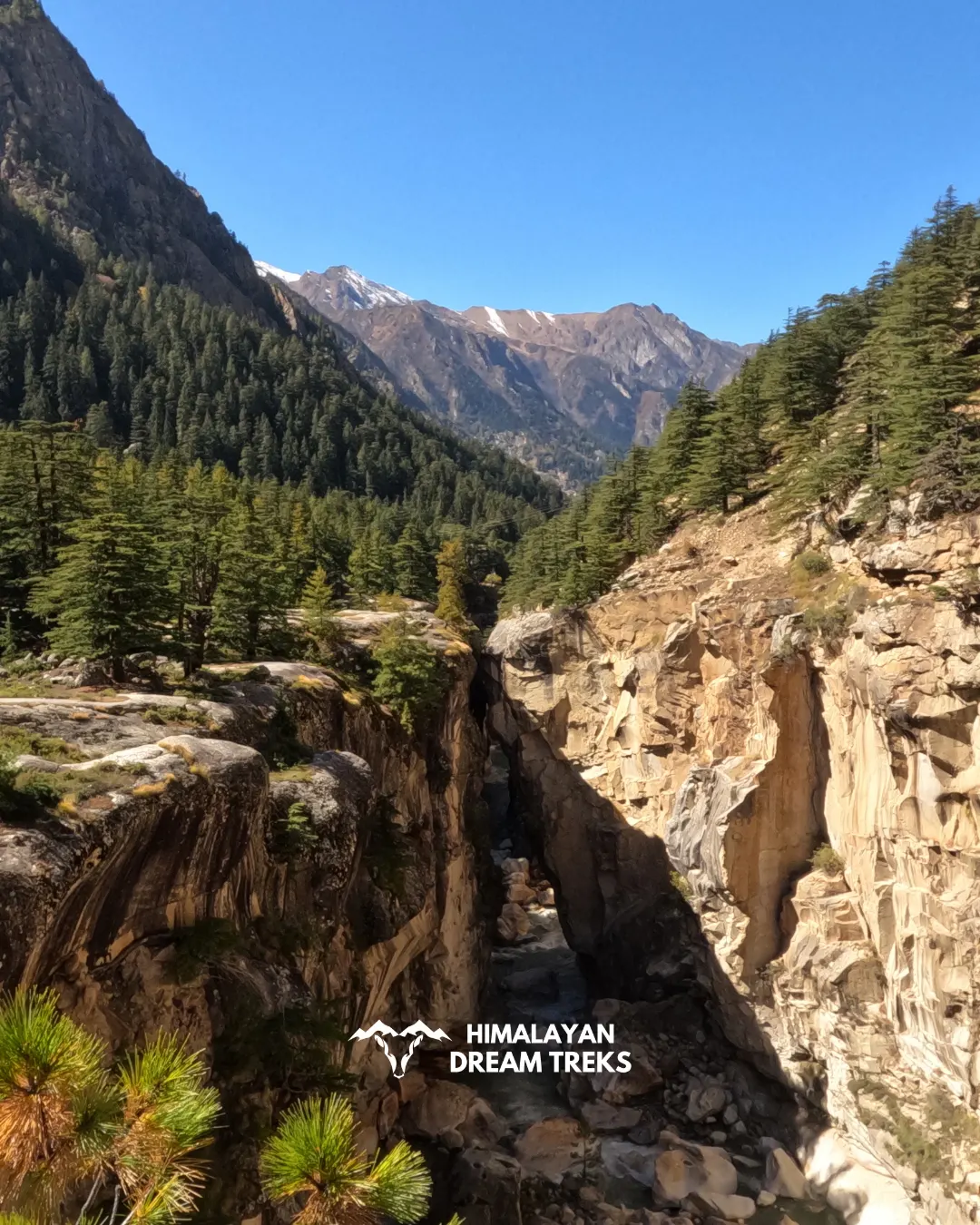 Deep gorge in Gangotri