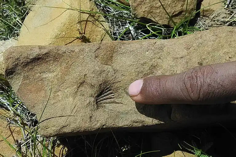 Fossilied Object at Komic Village