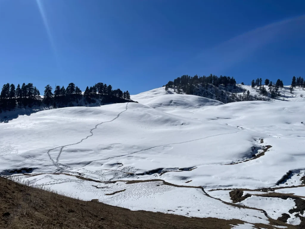 Snow covered landscape of Dayara Bugyal