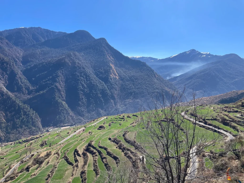 Farmlands of Raithal Village