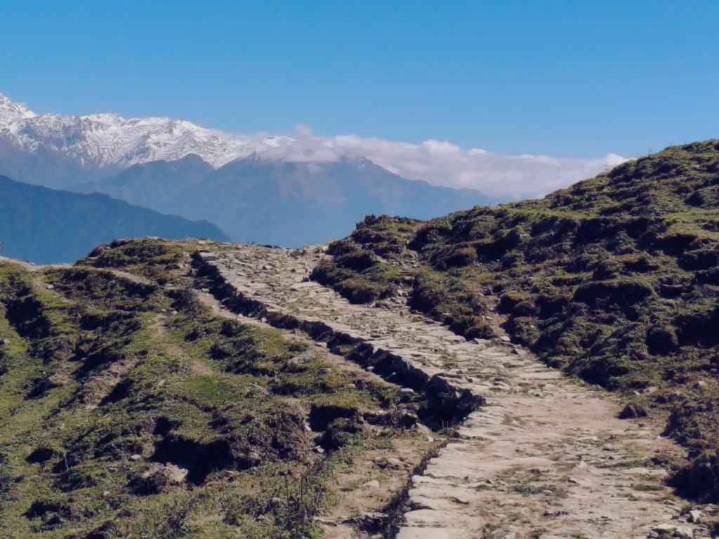 Well maintained and easy to navigate trail of Dayara Bugyal trek