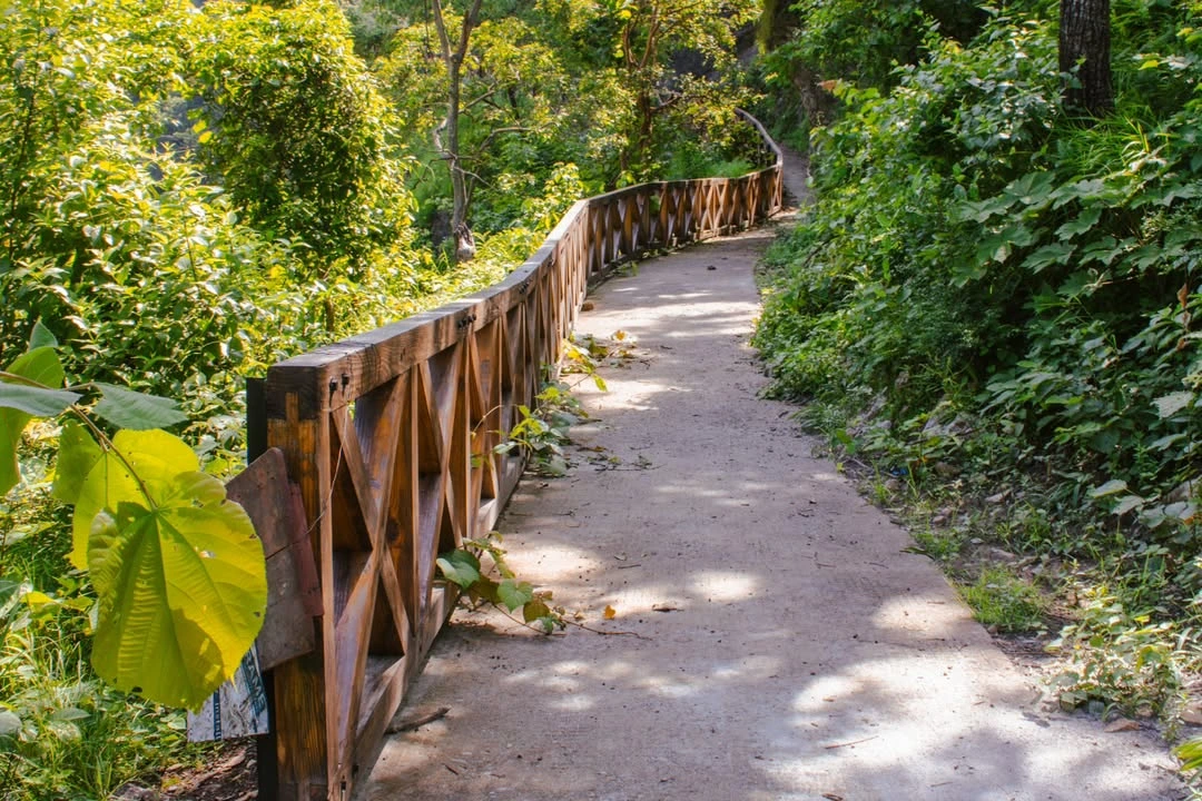 Mini Gartang, Rishikesh