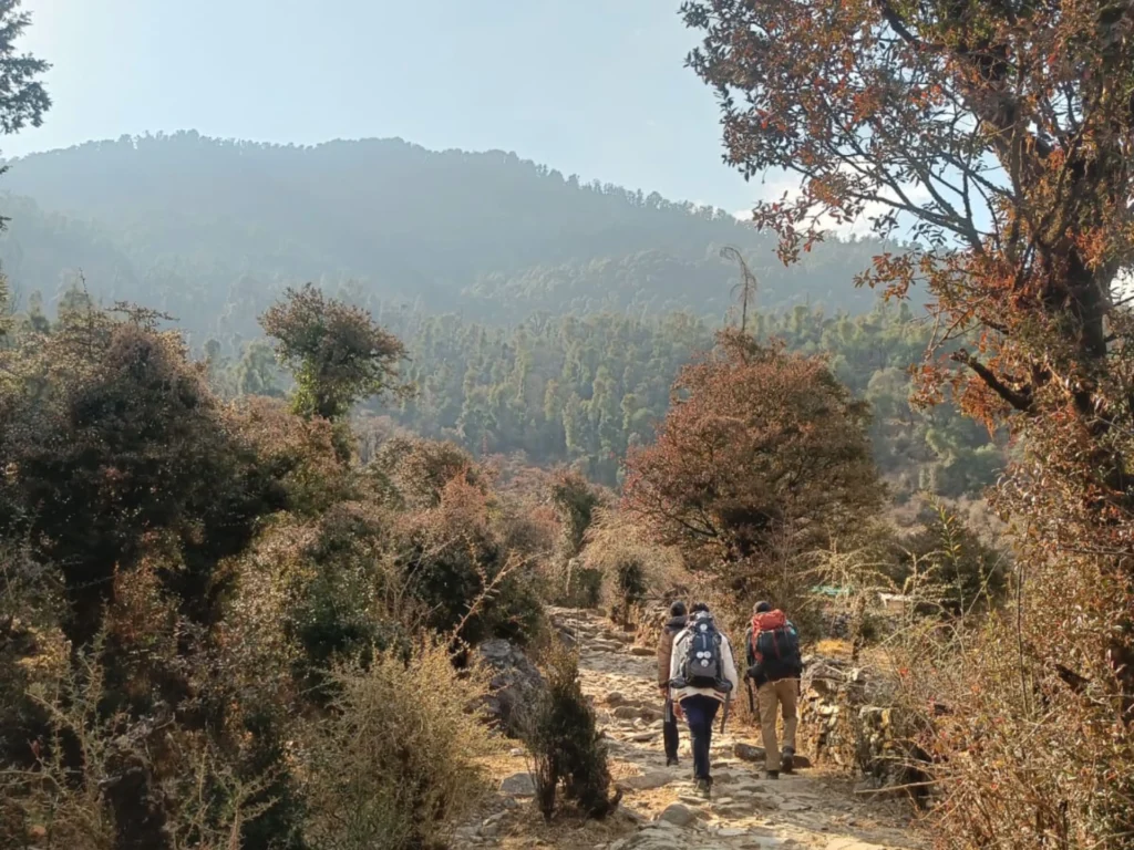 Trekkers moving towards Dayara Bugyal, passing through dense forest