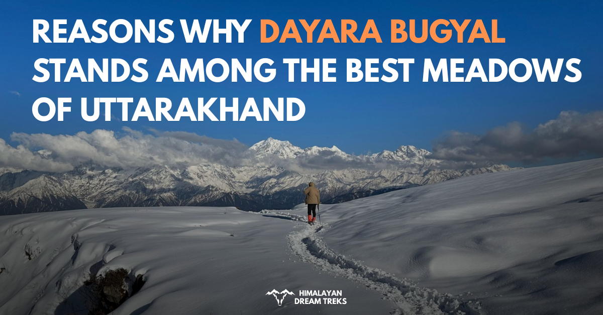 Reasons Why Dayara Bugyal Stands Among the Best Meadows of Uttarakhand