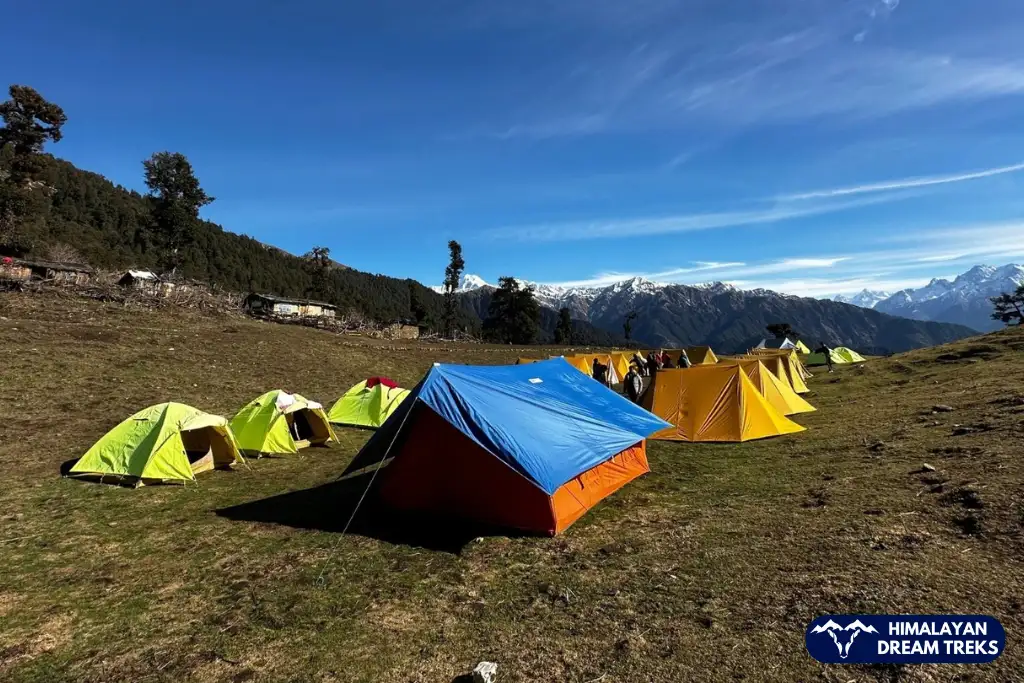 Gui Campsite on Dayara Bugyal