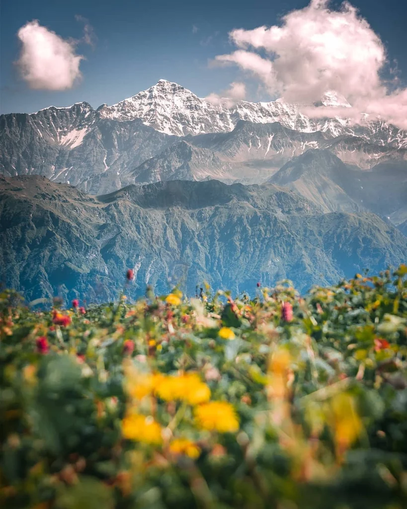 Gulabi Kantha Bugyal | PC: Isa khan