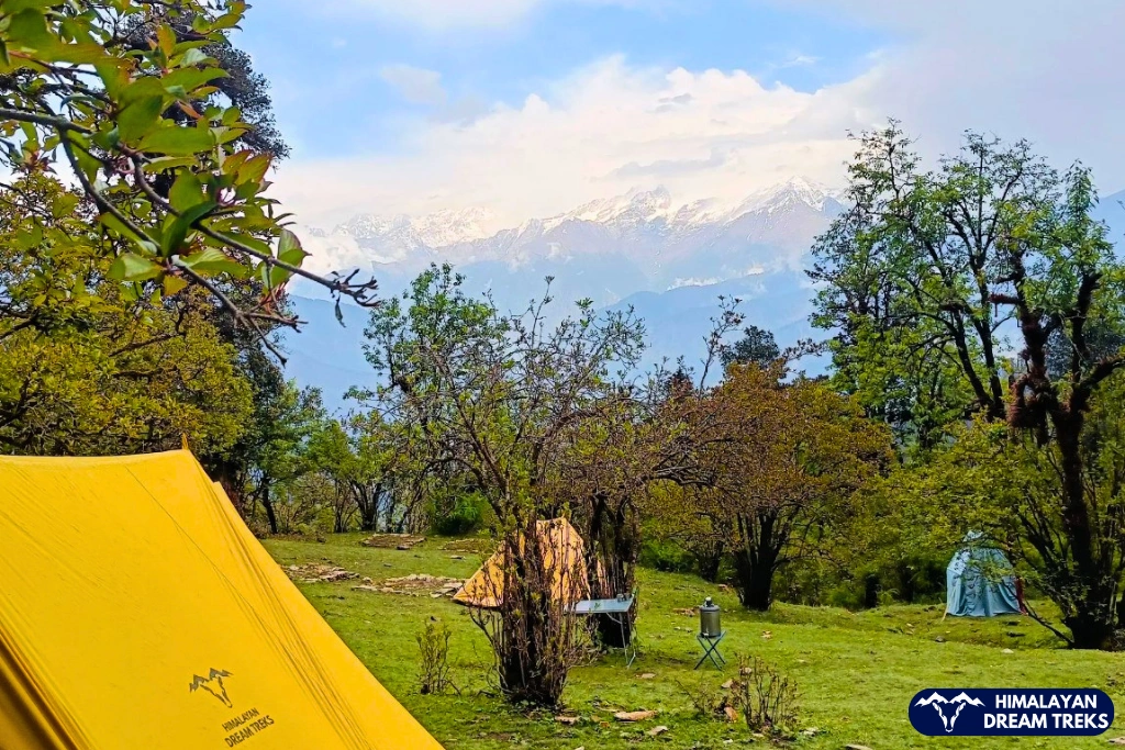 HDT Tents pitched at Dayara Bugyal with scenic Himalayan mountain views
