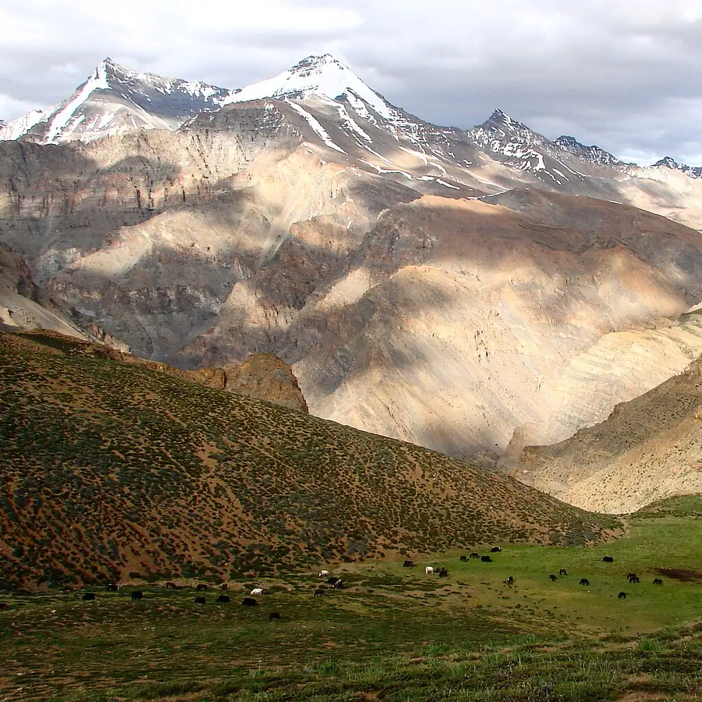 Kibber Wildlife Sanctuary