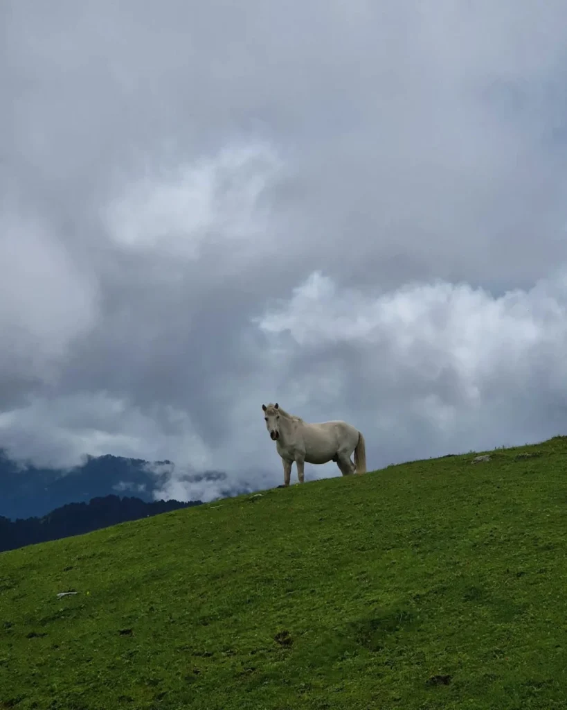 Panwali Kantha Bugyal 