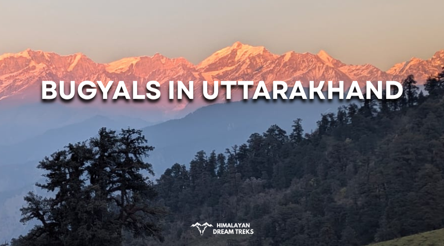 bugyals in uttarakhand