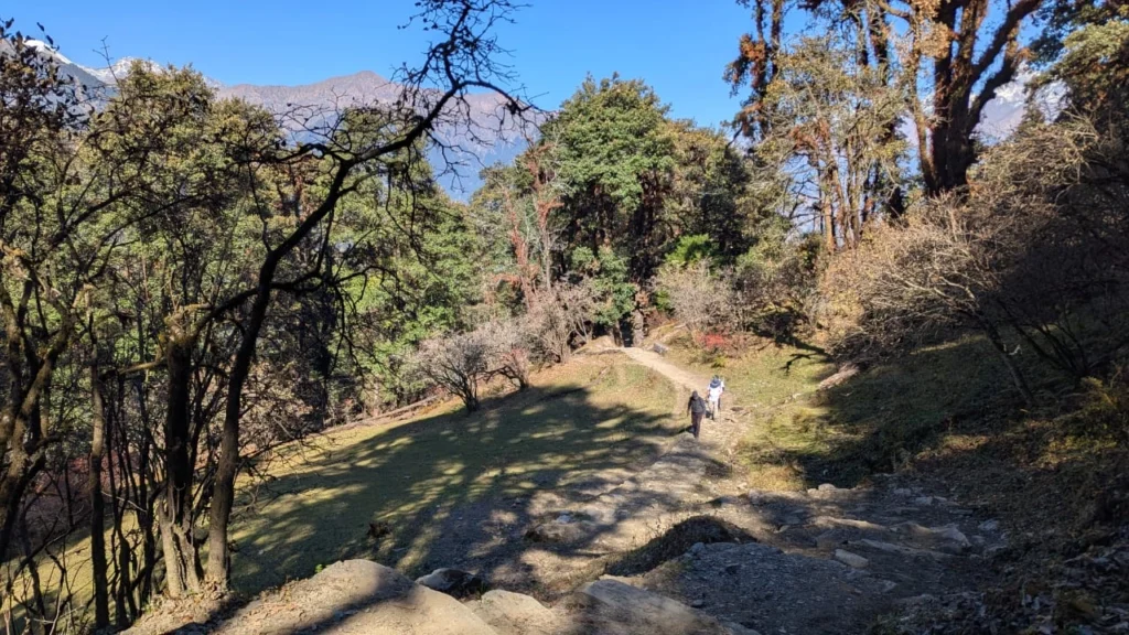 Trekkers walking at Dayara Bugyal, a beginner friendly high-altitude meadow
