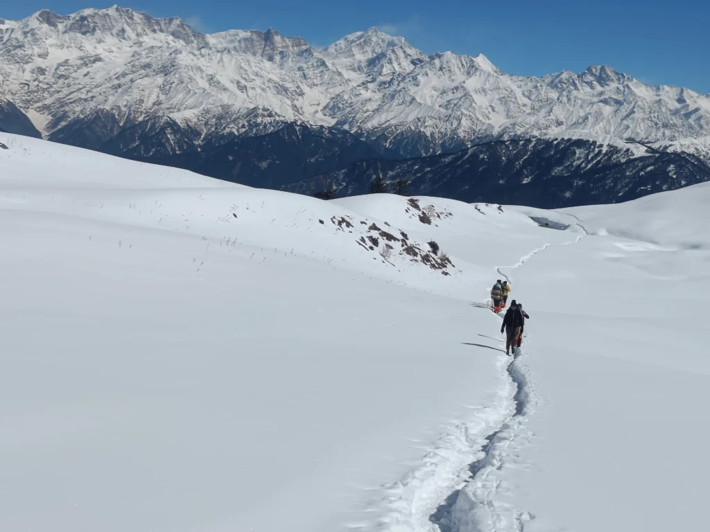 Trekkers walking on a snowy trail at Dayara Bugyal
