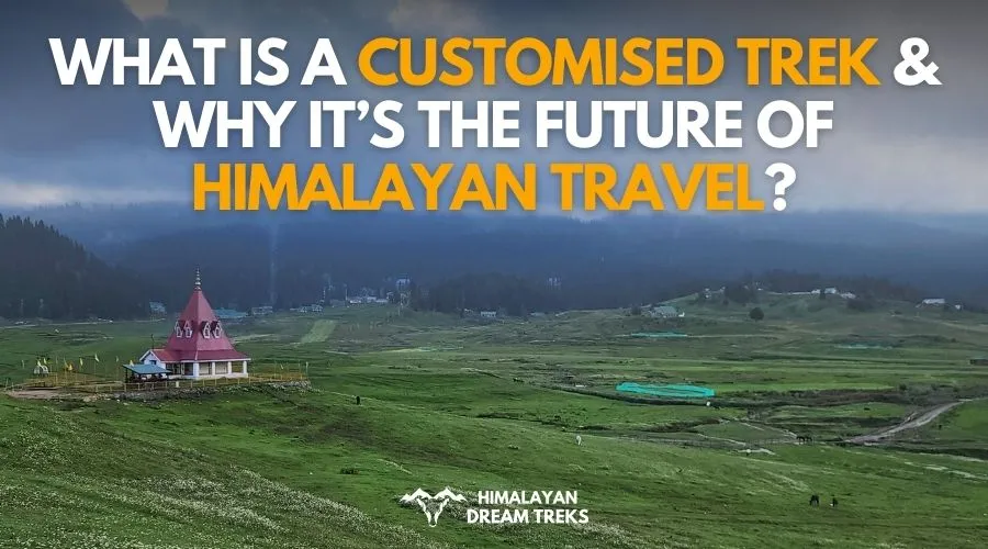 What is Customised Trek