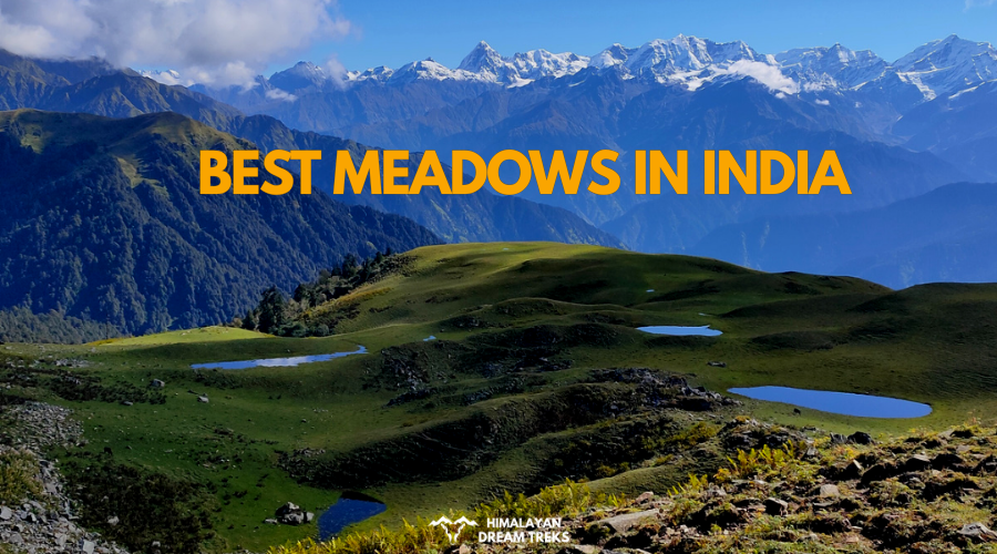 Meadows in India