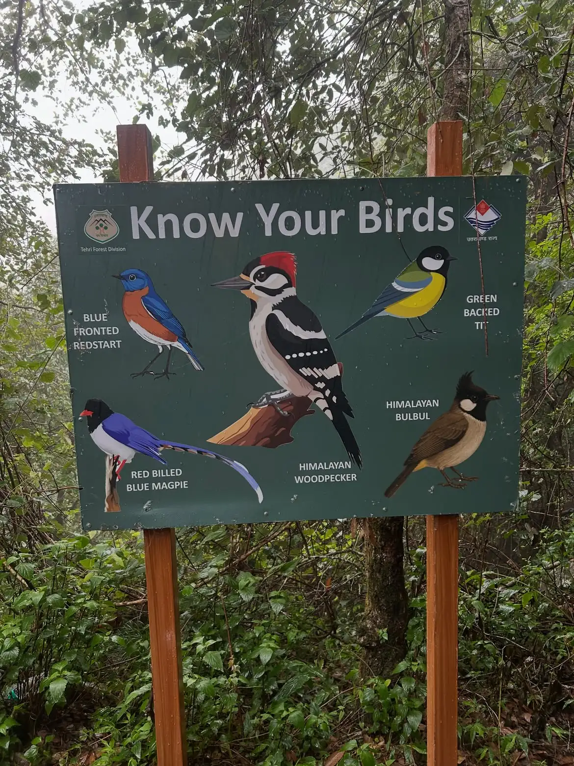 Birds in Khait Parvat