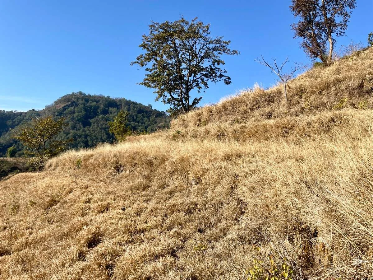 Near-Dharkot-Village