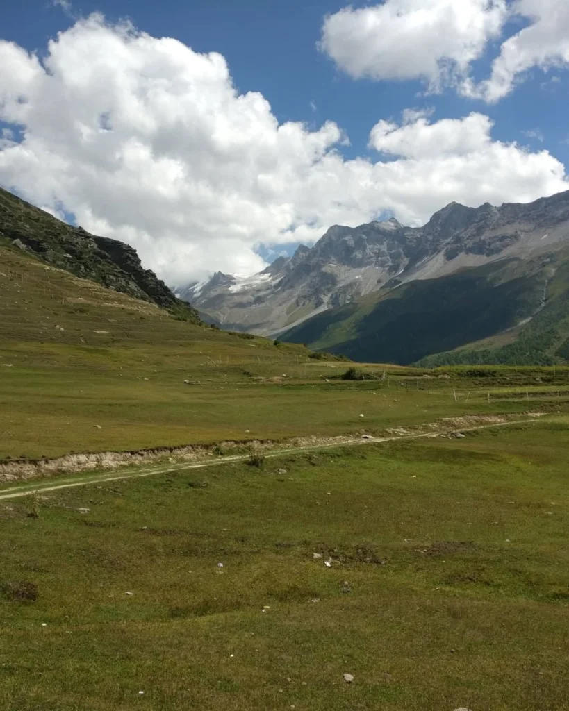 Calm green meadow in Sural Bhatori