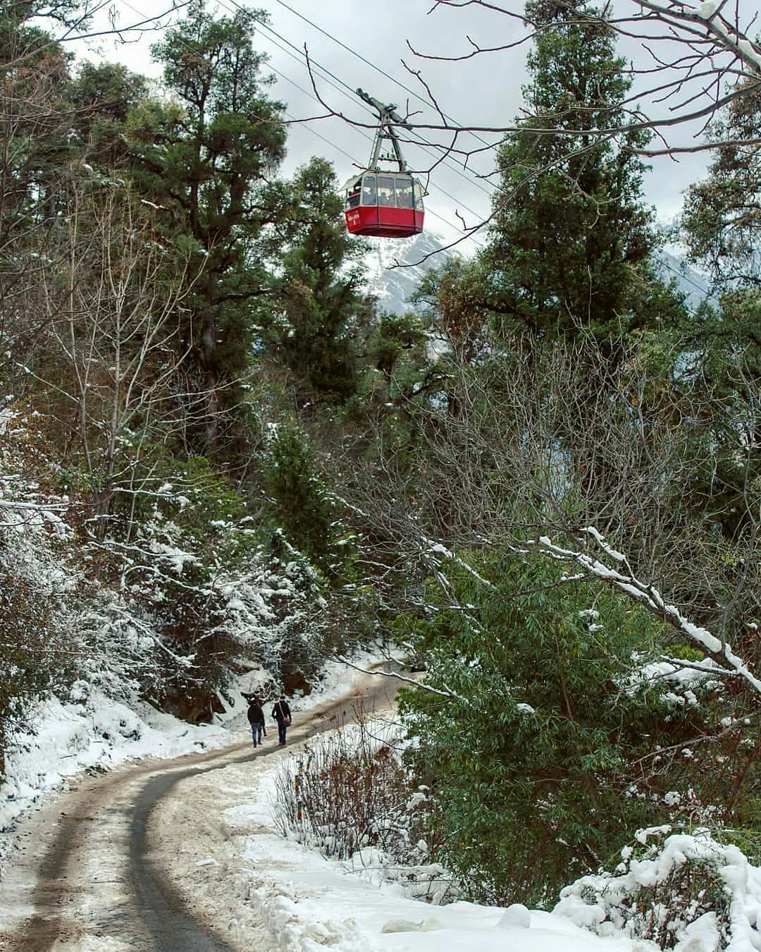 Auli ropeway