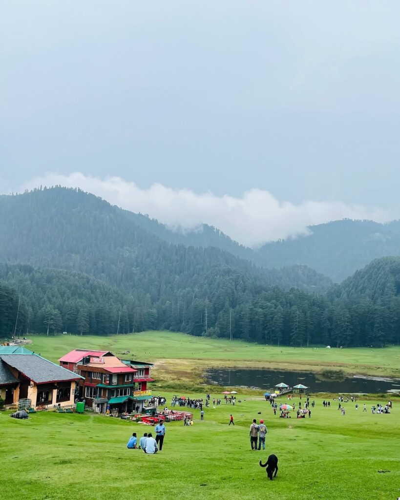 Lush green meadow in Khajjiar 