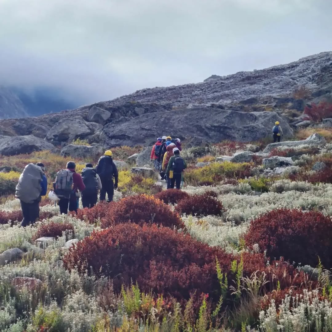 Colorful flowers in autumn at Tapovan Trail