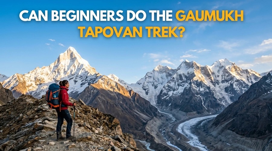 can beginners do the gaumukh tapovan trek