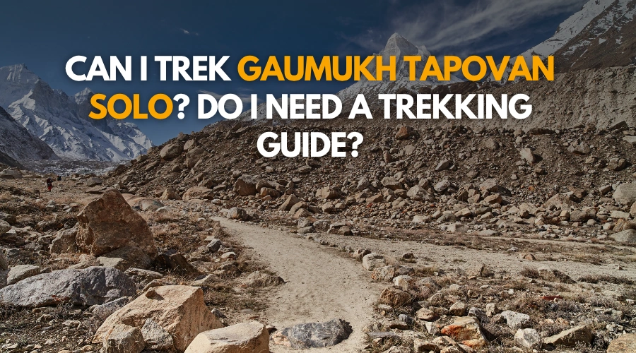 gaumukh tapovan solo guide