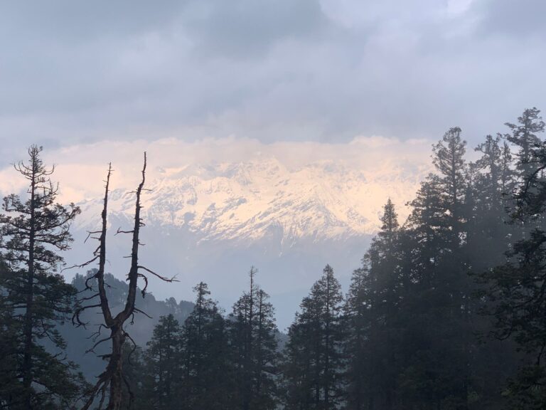 Gangoti Ranges From Bakria Forest